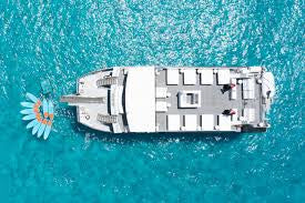 Full Day VIP Formentera Experience